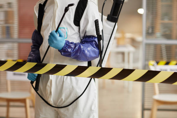 Professional Sewage Cleanup technician working in Whitewater, CA